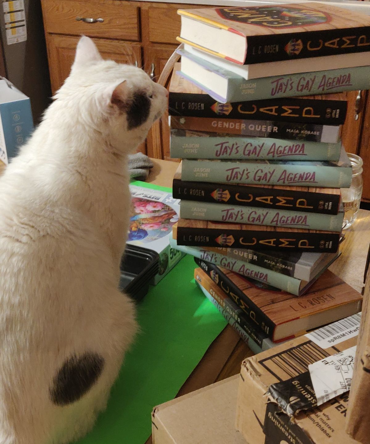 A white cat sniffs a stack of LGBTQ books.